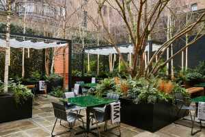 The courtyard at Native at Browns, Mayfair