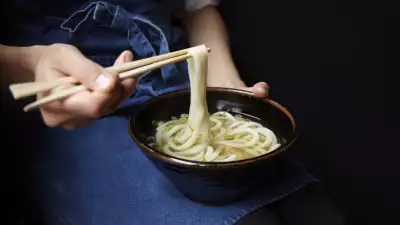 Colour image of udon noodles, from Koya