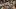 This is a colour image of a dining table at Pascor restaurant