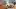 This is a colour image of a noodle dish at Koya Ko, Hackney