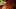 A colour image of Carabineros taco at Decimo
