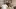 This is an image of four people standing together