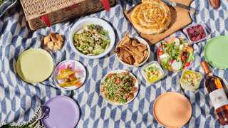 This is a photo of a picnic box spread from Arabica, London, including hummus, beetroot borani and summer freekeh salad.