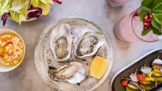 This is a photo of oysters, side dishes and a cocktail at Burnt Orange in Brighton.