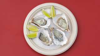 This is an image of oysters at Decimiño at The Standard Rooftop