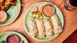 This is a colour image of the summer rolls at Rosa's Thai