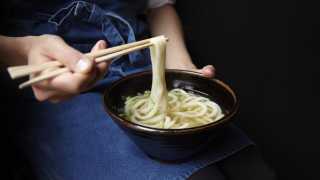 Colour image of udon noodles, from Koya