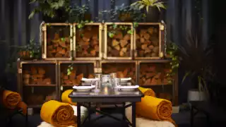 Colour image of winter terrace at ACME fire cult