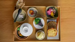 Colour image of Oxeye Lunch box