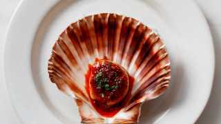 Image of an Orkney Scallop with 'nduja at Luca