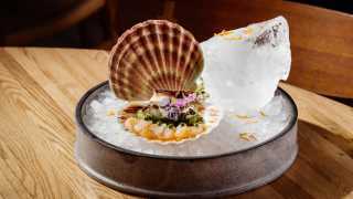A photo of scallop sashimi with shiso pesto and pickled cucumber from ROKA