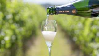 A photo of a glass of sparkling wine being poured in a vineyard on Wiston Estate