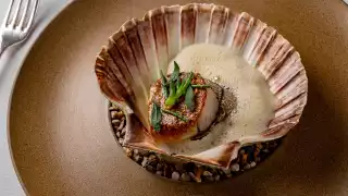 Scallop with hazelnut, miso and English truffle