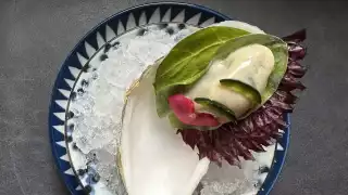 This is a photo of Oyster with kohlrabi, sorrel, oyster leaf and shiso at Kitchen Table