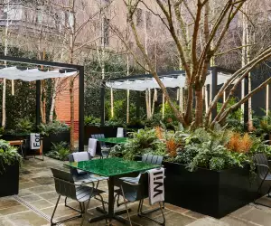 The courtyard at Native at Browns, Mayfair
